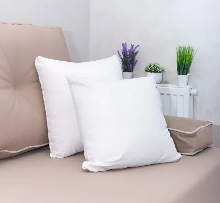 Подушки на диване и декоративные растения в квартире на сутки в Минске